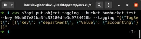 s3 getobjecttagging|s3 object tagging.